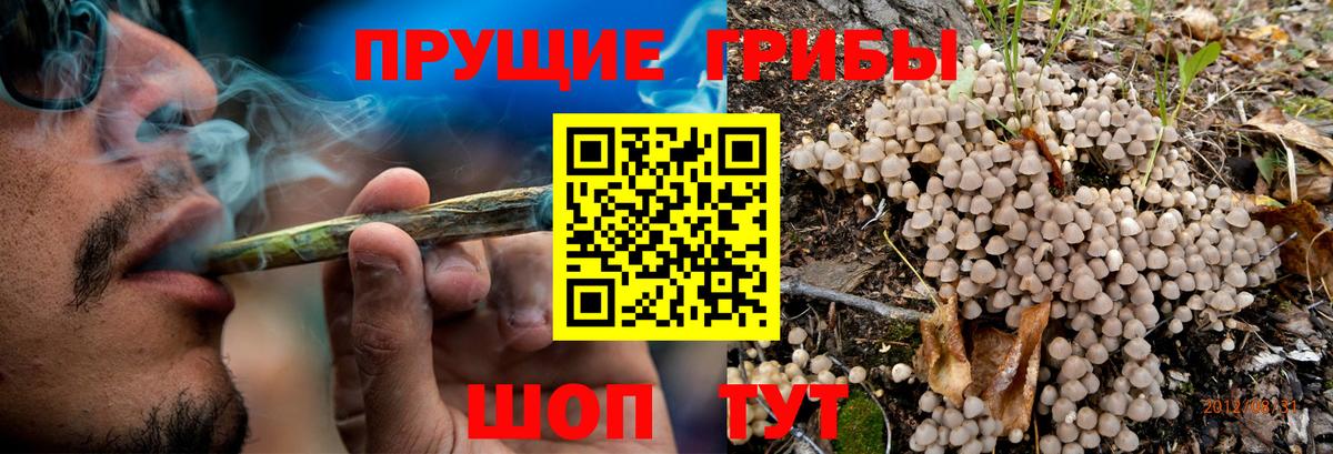 Псилоцибиновые грибы мухоморы Волоколамск