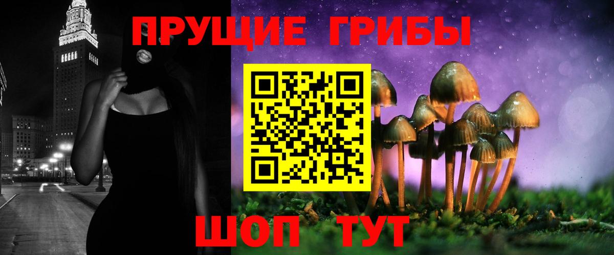 где продают   Вход с VPN  Волоколамск  Псилоцибиновые грибы мухоморы 